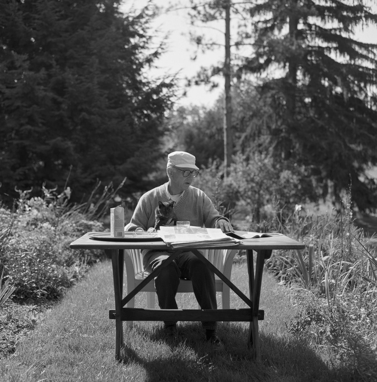 Ellsworth Kelly and cat eating and reading outdoors, 1994 Jack Shear, courtesy Ellsworth Kelly Studio. © Ellsworth Kelly Foundation