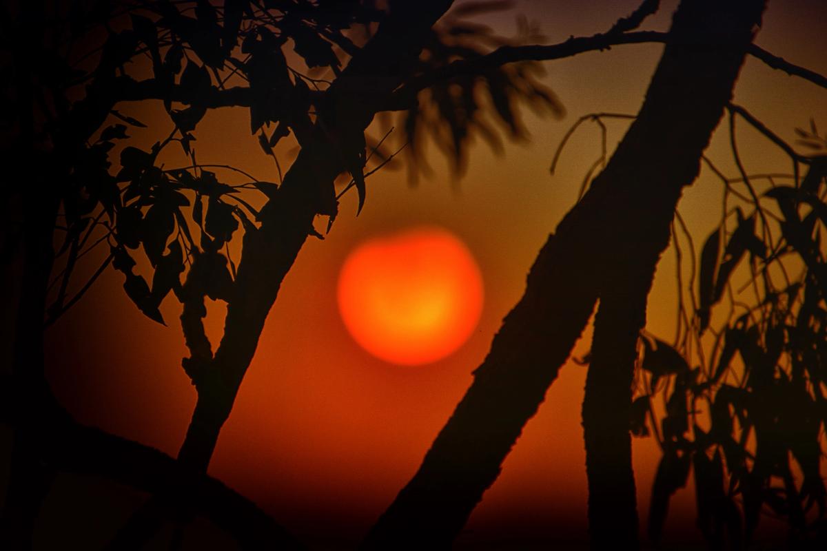 As bushfires in Australia rage on, the quality of the air in Canberra has forced the National Gallery of Australia to close until further notice Photo: Rob Russell