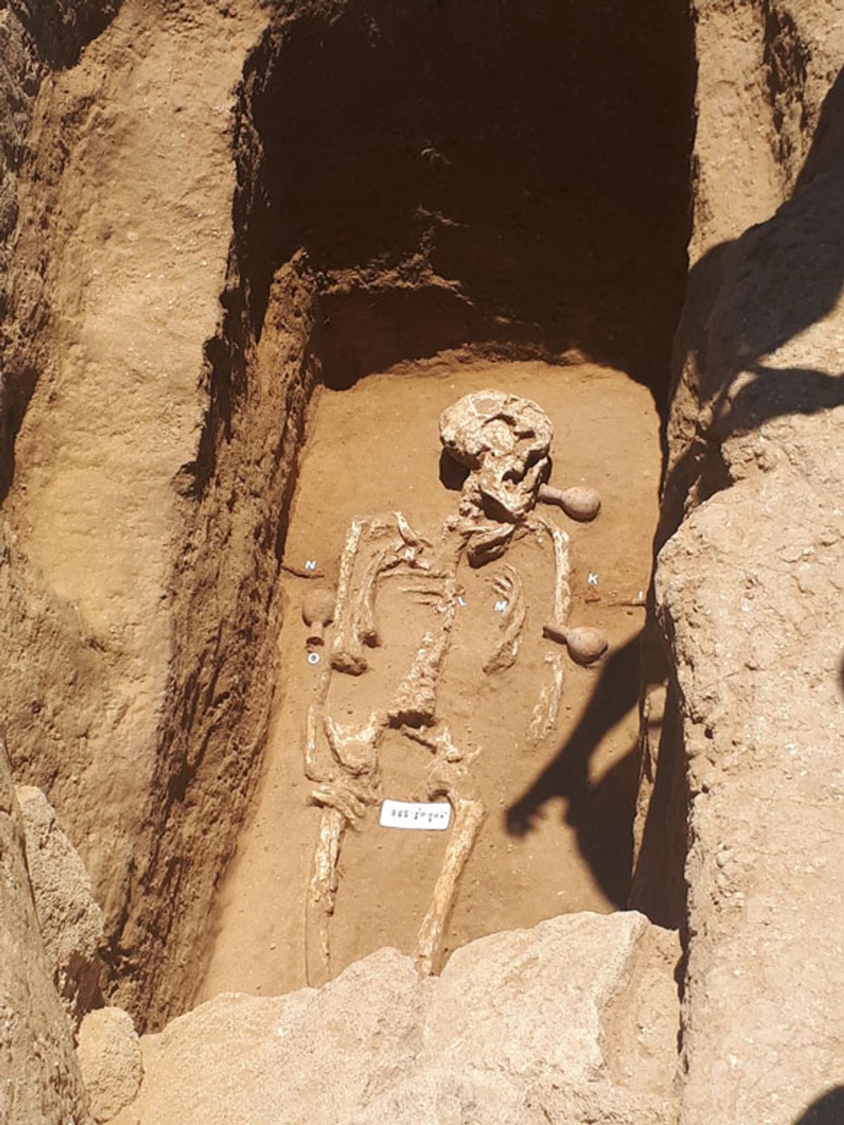 One of the skeletons found at the Ard-al-Moharbeen site in the Gaza Strip