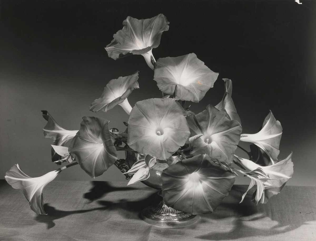 Morning glory arrangement by Constance Spry (around 1930) Photo: Cowderoy & Moss Ltd; RHS Lindley Collections