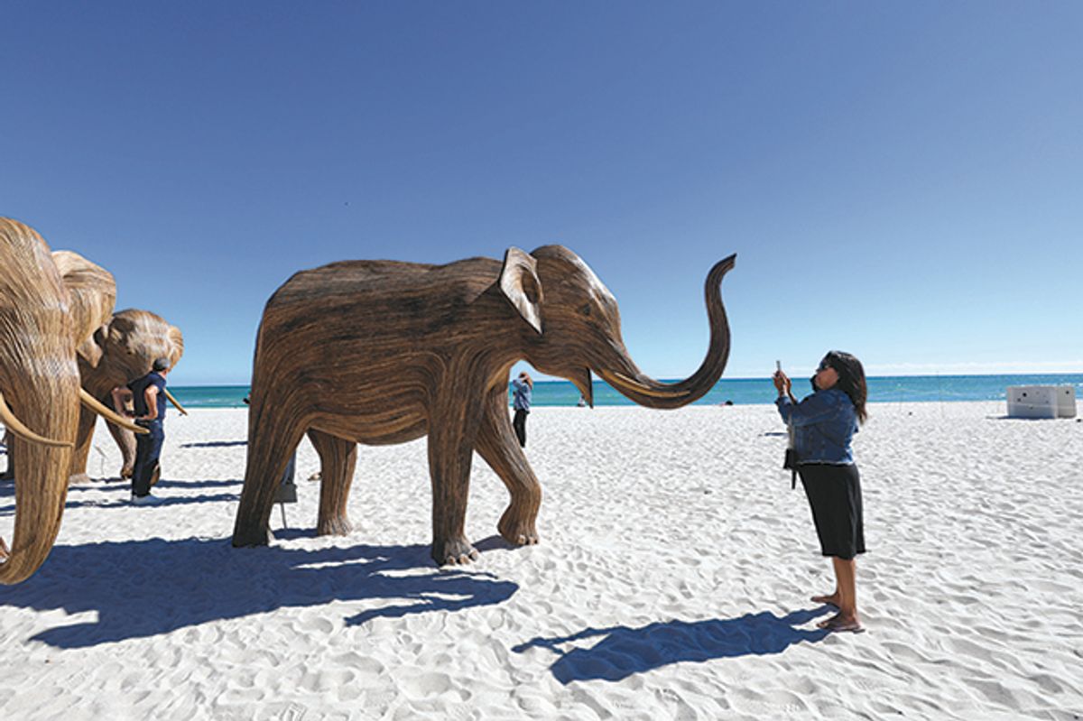 A couple were caught making the beast with two backs on a sculpture from The Great Elephant Migration (2024) on Miami Beach
Liliana Mora