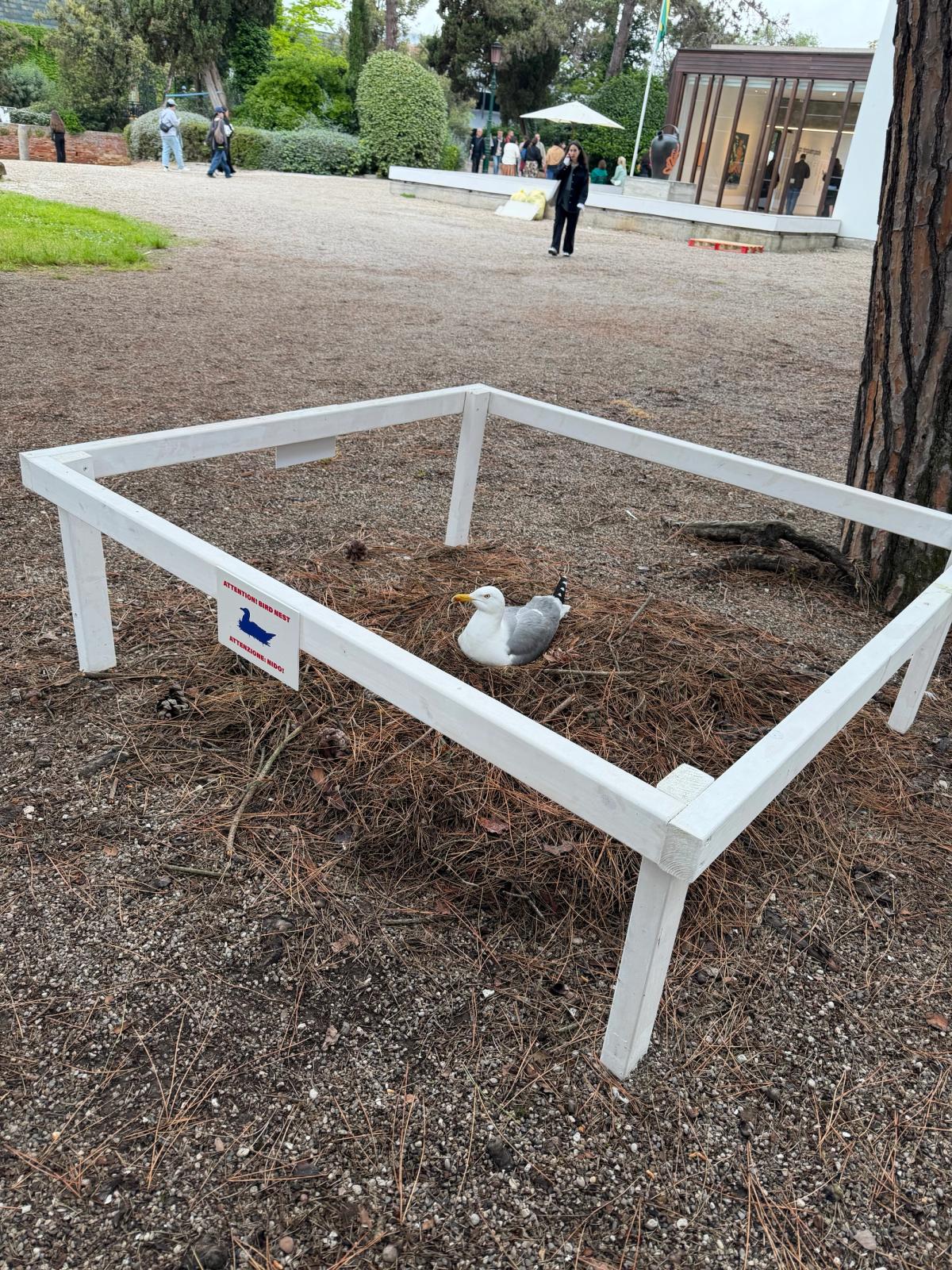 A seagull nests at the Polish Pavilion

The Art Newspaper