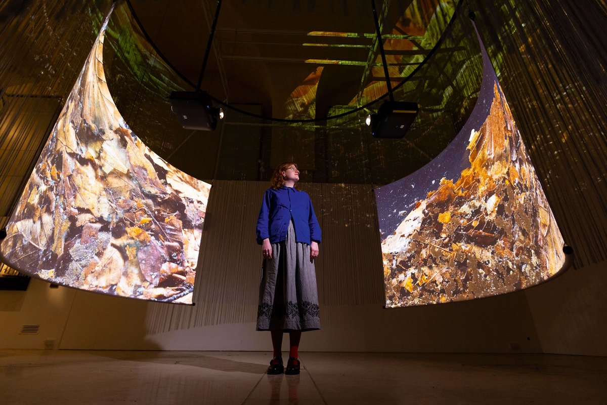 Soil in Action by Wim van Egmond, in Somerset House's current exhibition, Soil: The World at Our Feet, which combines art and science
Photo © David Parry/PA Media Assignments