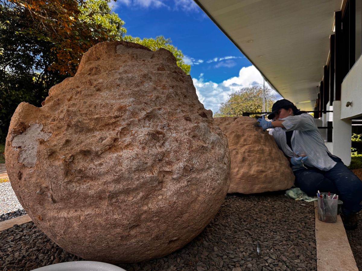 Restoration work underway on the ancient Diquís spheres at the Finca 6 Museum Site Courtesy Museo Nacional de Costa Rica