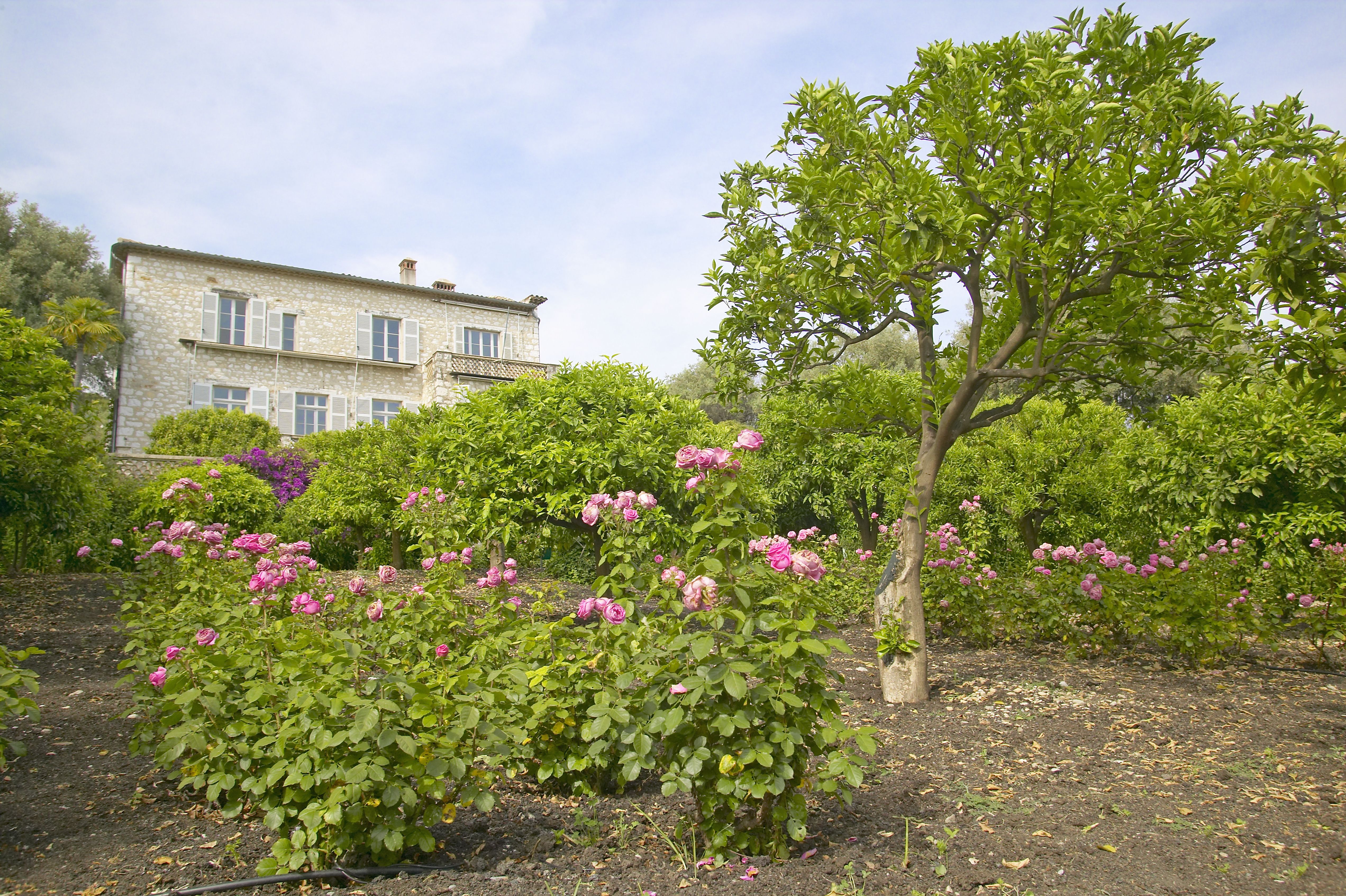 Two Renoir paintings worth €9m stolen from Renoir Museum in South of France