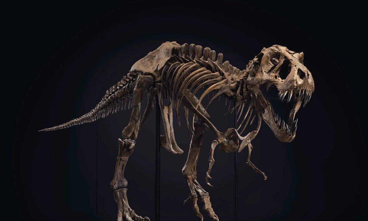 O Rex From Christie’s to the United Arab Emi-Rex: record-smashing ...