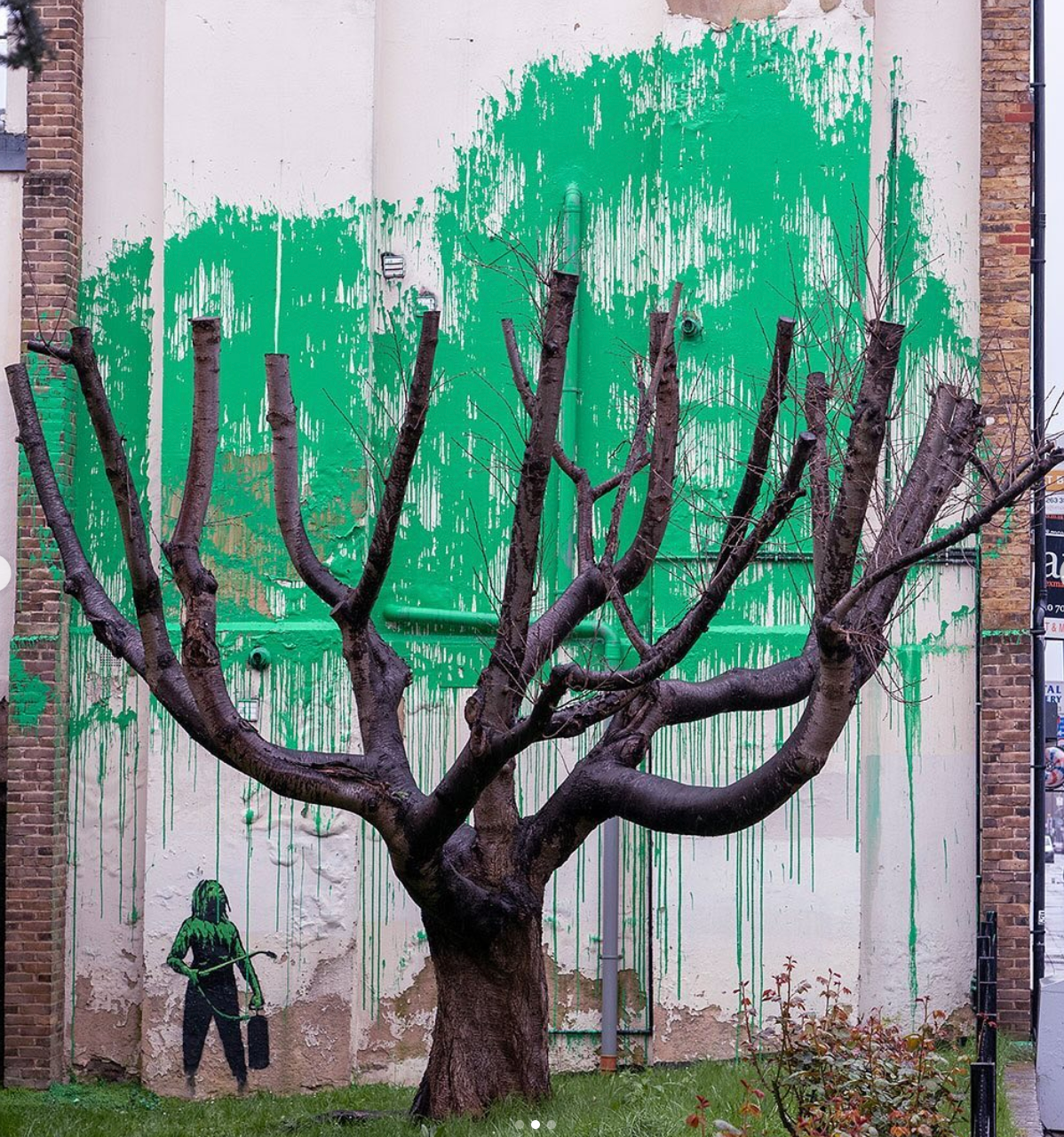 Banksy authenticates new tree mural in north London with Instagram post