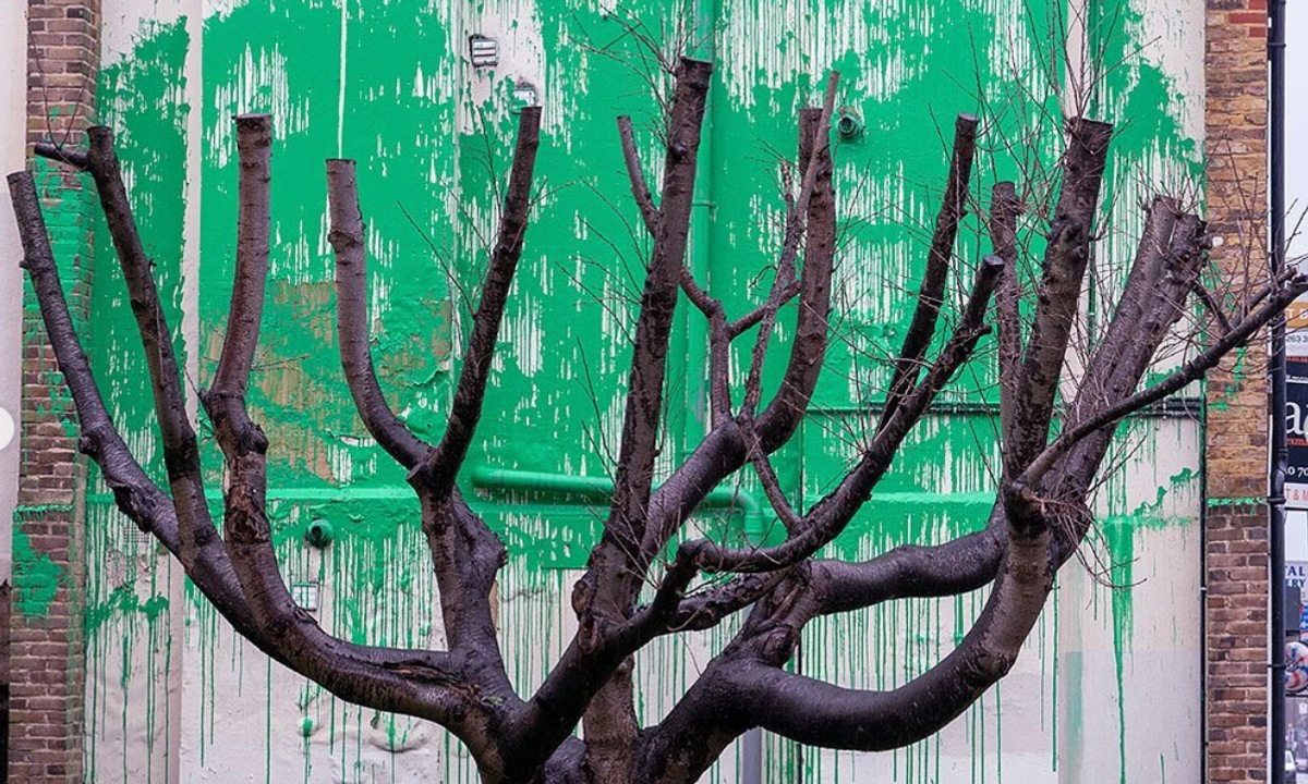 Banksy authenticates new tree mural in north London with Instagram post