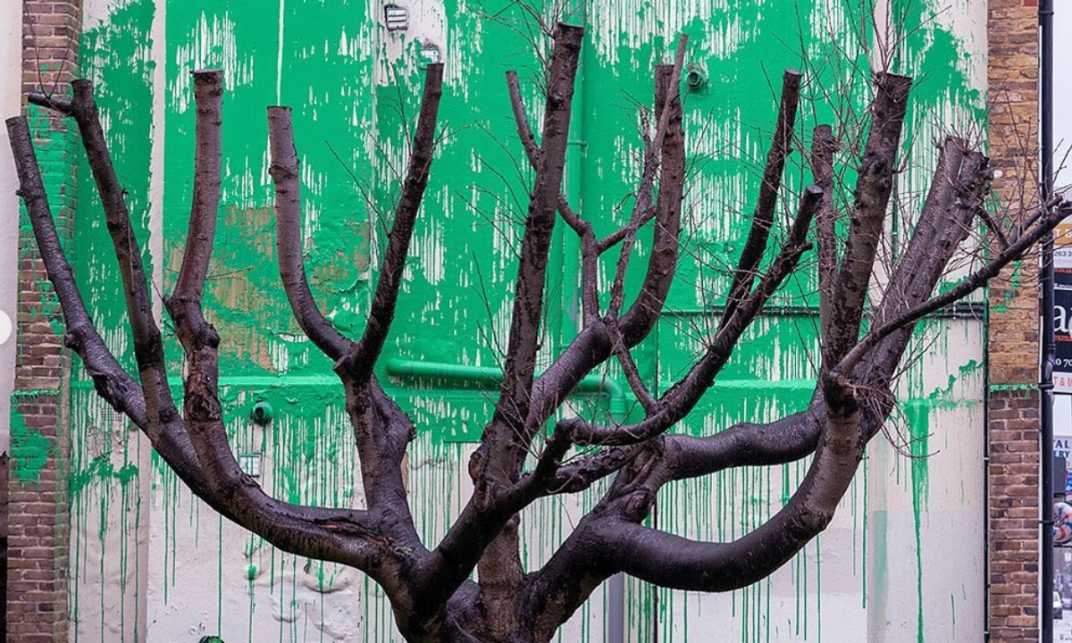 Banksy authenticates new tree mural in north London with Instagram post Banksy authenticates new tree mural in north London with Instagram post