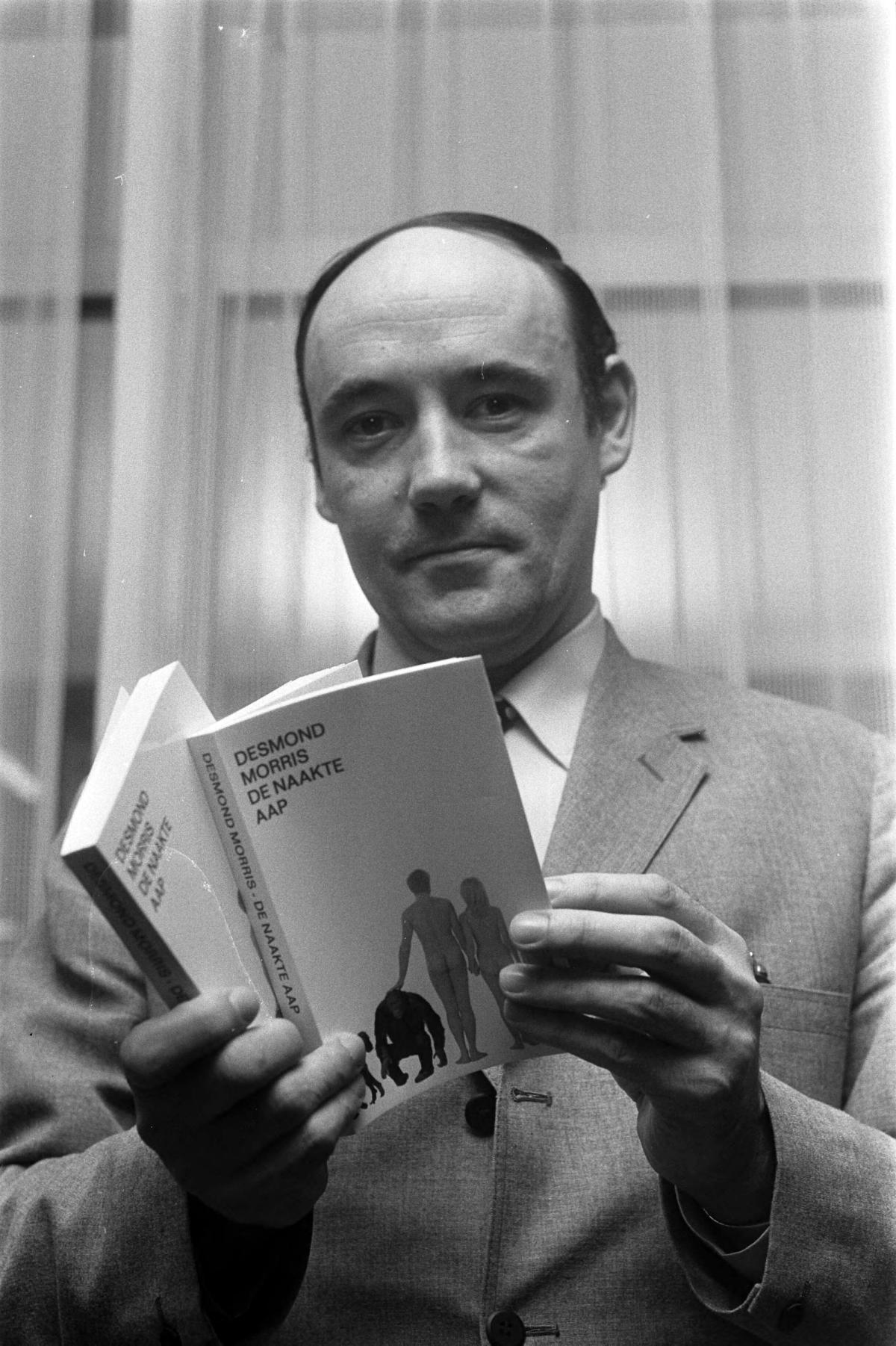Desmond Morris with his international bestseller The Naked Ape (1967), the achievement he is best known for Photo: Eric Koch/Anefo/Nationaal Archief, CC0