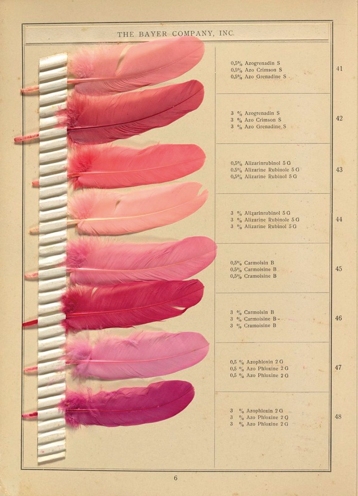 An instructional dye sample book demonstrating shades on feathers  Courtesy of Science History Institute