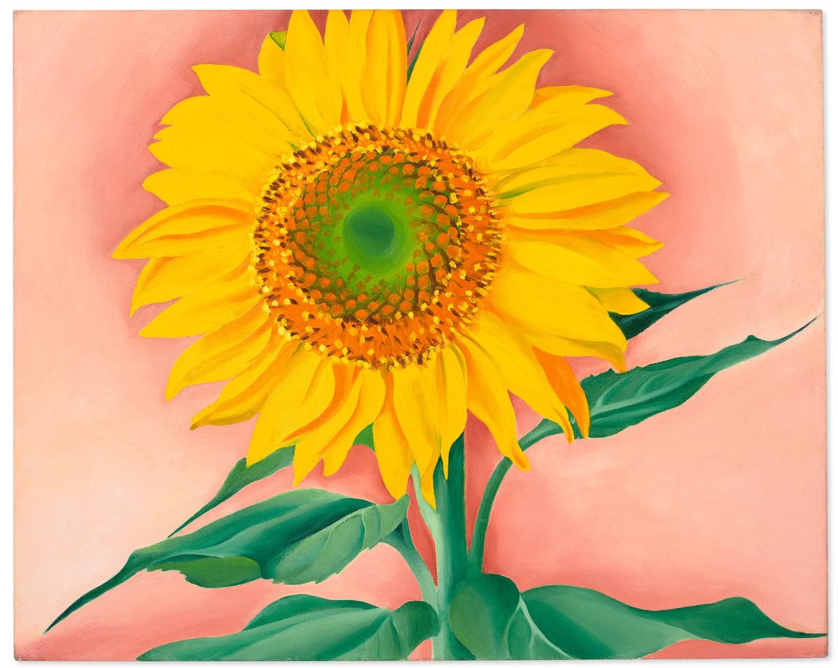 Georgia O’Keeffe’s A Sunflower from Maggie (1937) failed to sell at Christie’s on 12 May Courtesy Christie’s Images Ltd.