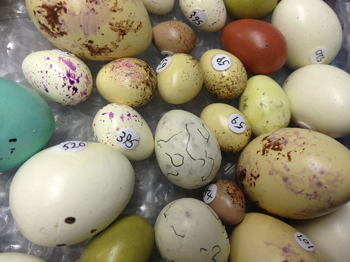 Photo: James Lingwood