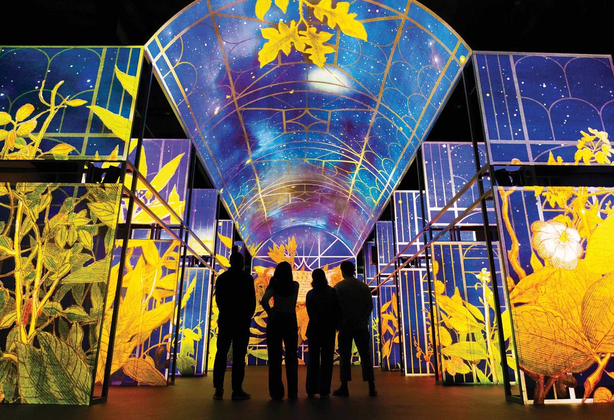 Proceeds from the Book of Kells Experience at Trinity College Dublin will underwrite the €90m project
Photo: Zoe Ardiff