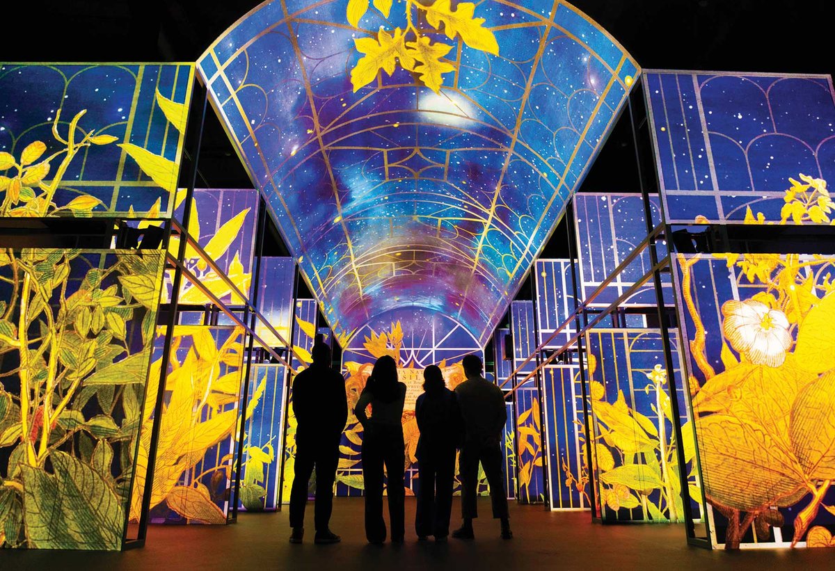 Proceeds from the Book of Kells Experience at Trinity College Dublin will underwrite the €90m project
Photo: Zoe Ardiff