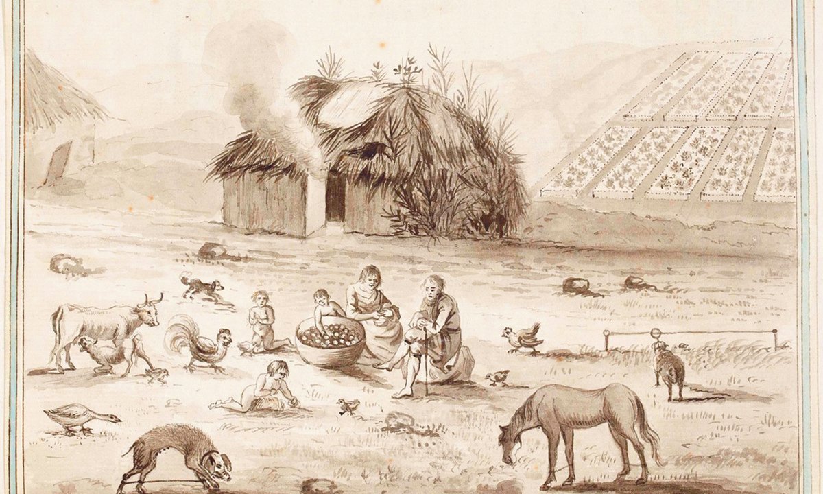 home life in 18th-century Eire examined in new e-book home life in 18th-century Eire examined in new e-book