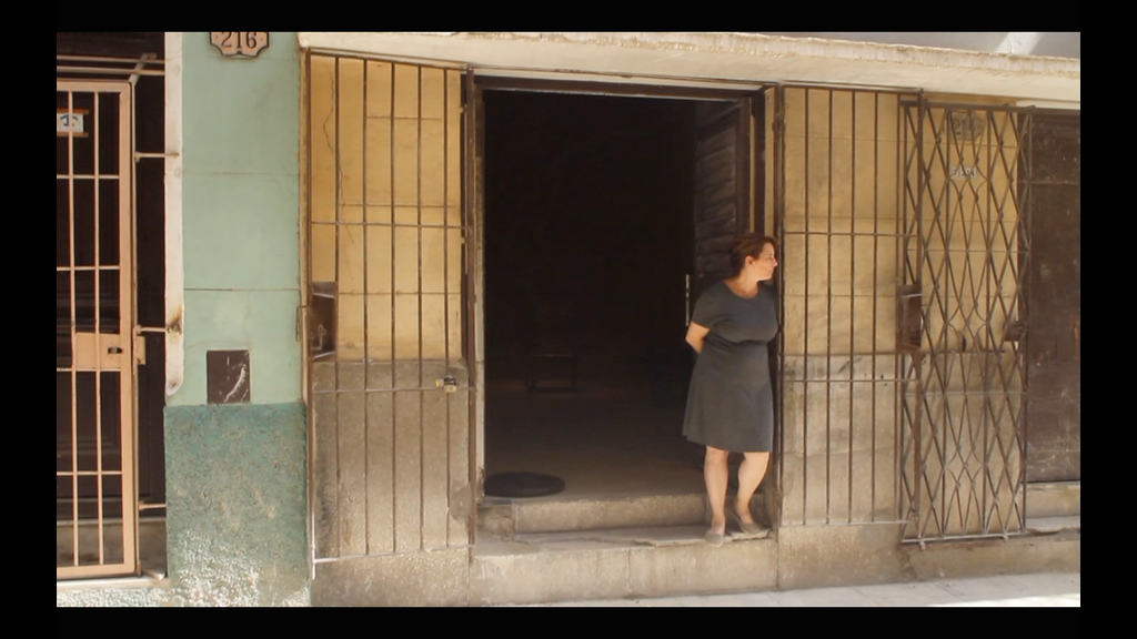 Tania Bruguera continues to protest against the Cuban government’s anti-free speech statute known as Decree 349, and has repeatedly been detained by Cuban authorities in recent years Photo: Tania Bruguera / Facebook