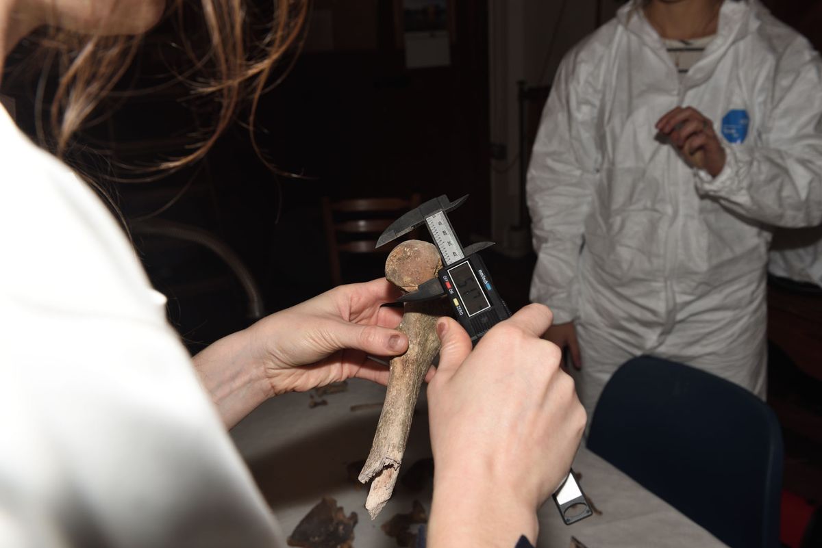 Apart from one bone fragment and a single tooth sent for radio carbon to Queen's University Belfast, the remains stayed in the church during the work © Mark Hourahane