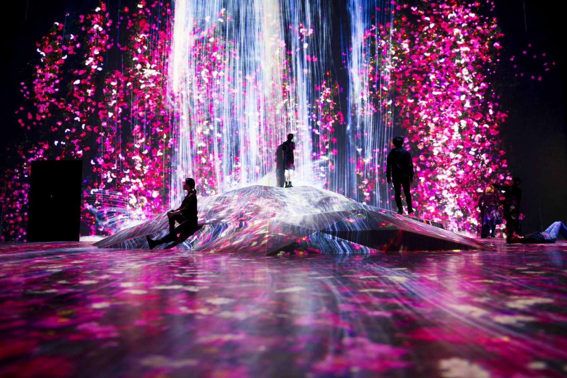 teamLab, Exhibition view of teamLab Borderless, 2018, Tokyo © teamLab, courtesy Pace Gallery ©teamLab, courtesy Pace Gallery