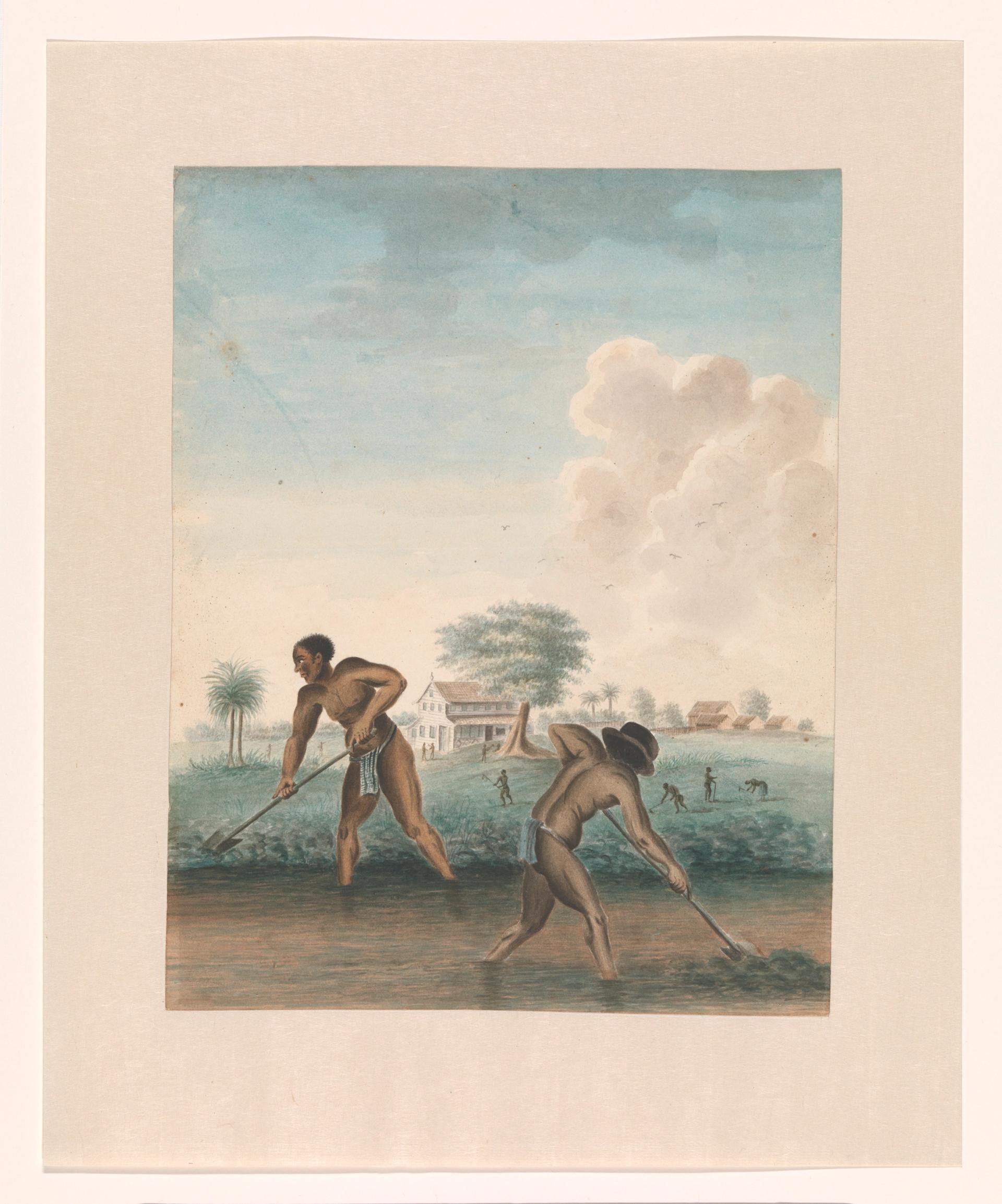 一位不知名的艺术家(大约1850年)在田地里劳作的奴隶，由荷兰国立博物馆提供。在Johan Huizinga Fonds/ rijkmuseum Fonds的支持下购买