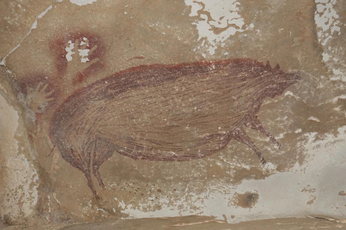 The pig painting at Leang Tedongnge cave, Sulawesi © A. A. Oktaviana, ARKENAS/Griffith University.