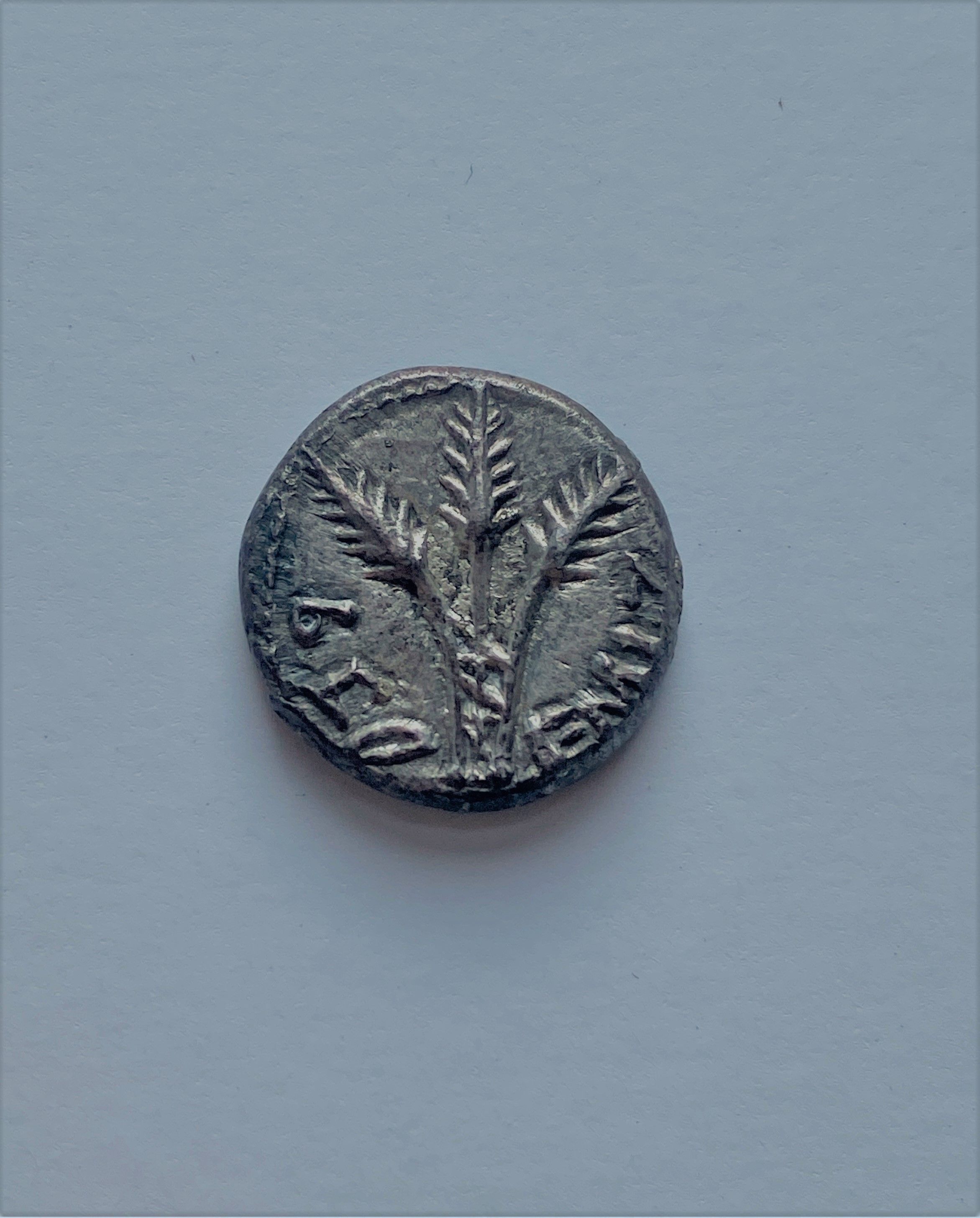 A 2 000 year old Israeli coin minted during the great Jewish