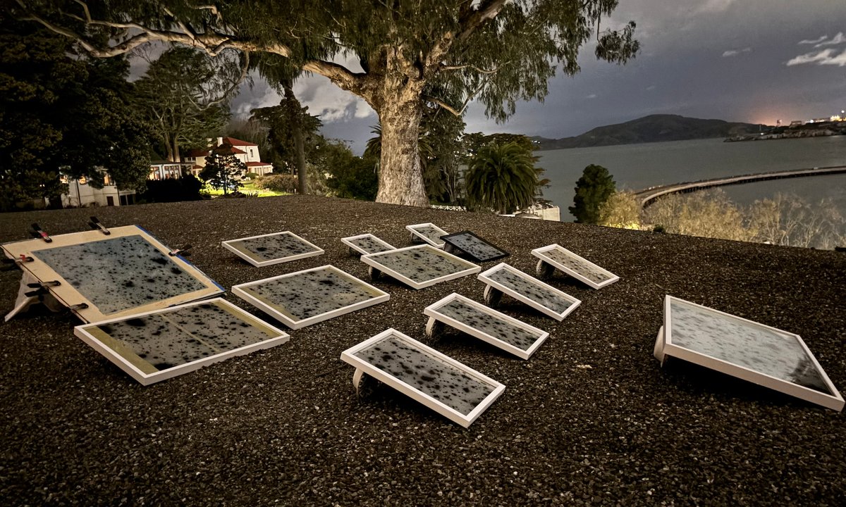 On a San Francisco roof, an artist’s work is birthed by the night sky – The Art Newspaper On a San Francisco roof, an artist’s work is birthed by the night sky – The Art Newspaper