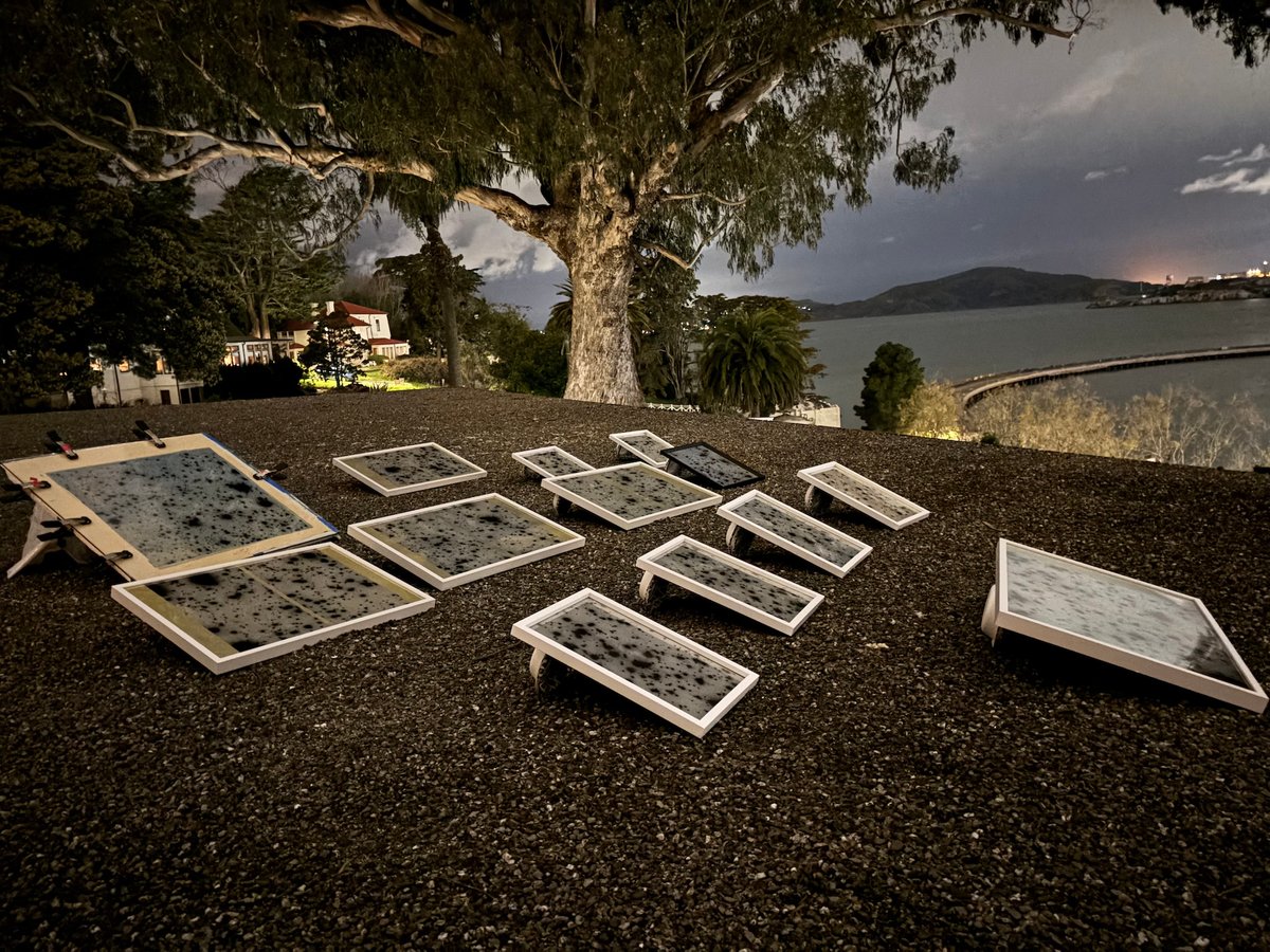 The artist Ala Ebtekar develops his cyanotypes by the light of the moon and stars on a San Francisco rooftop on 13 March 2025 Courtesy Arion Press