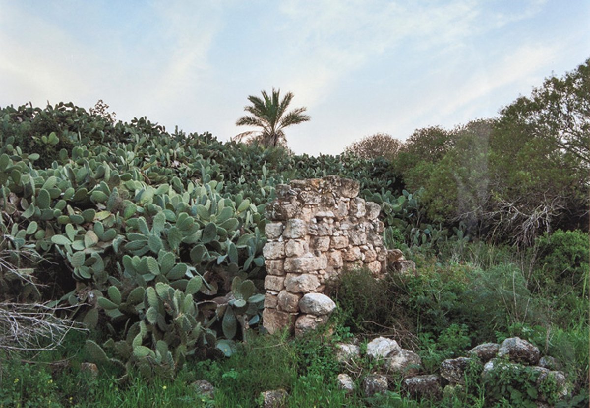 Among the new donations going on show in Paris this weekend is Hawsha, a photograph by Bruno Fert Nabil Boutros