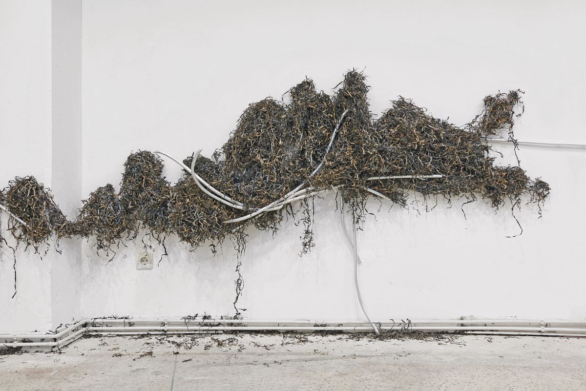 Violet Dennison’s installation Transcend (2017) warns of the impact of pollution Fotografie Mareike Tocha; Courtesy of the artist and Jan Kaps, Cologne