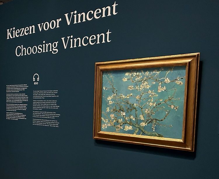 Why is Van Gogh so popular?