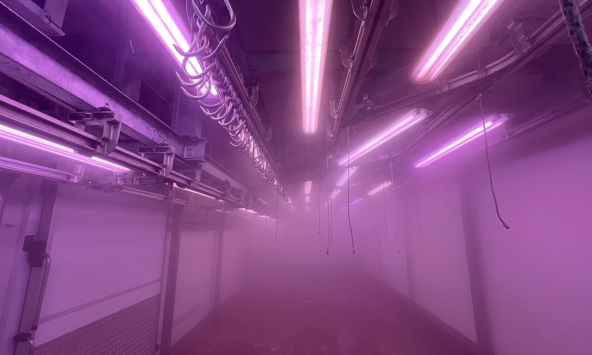 Venice exhibition of site-specific films aims to capture the hyper stimulating times we are living in