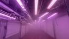Venice exhibition of site-specific films aims to capture the hyper stimulating times we are living in