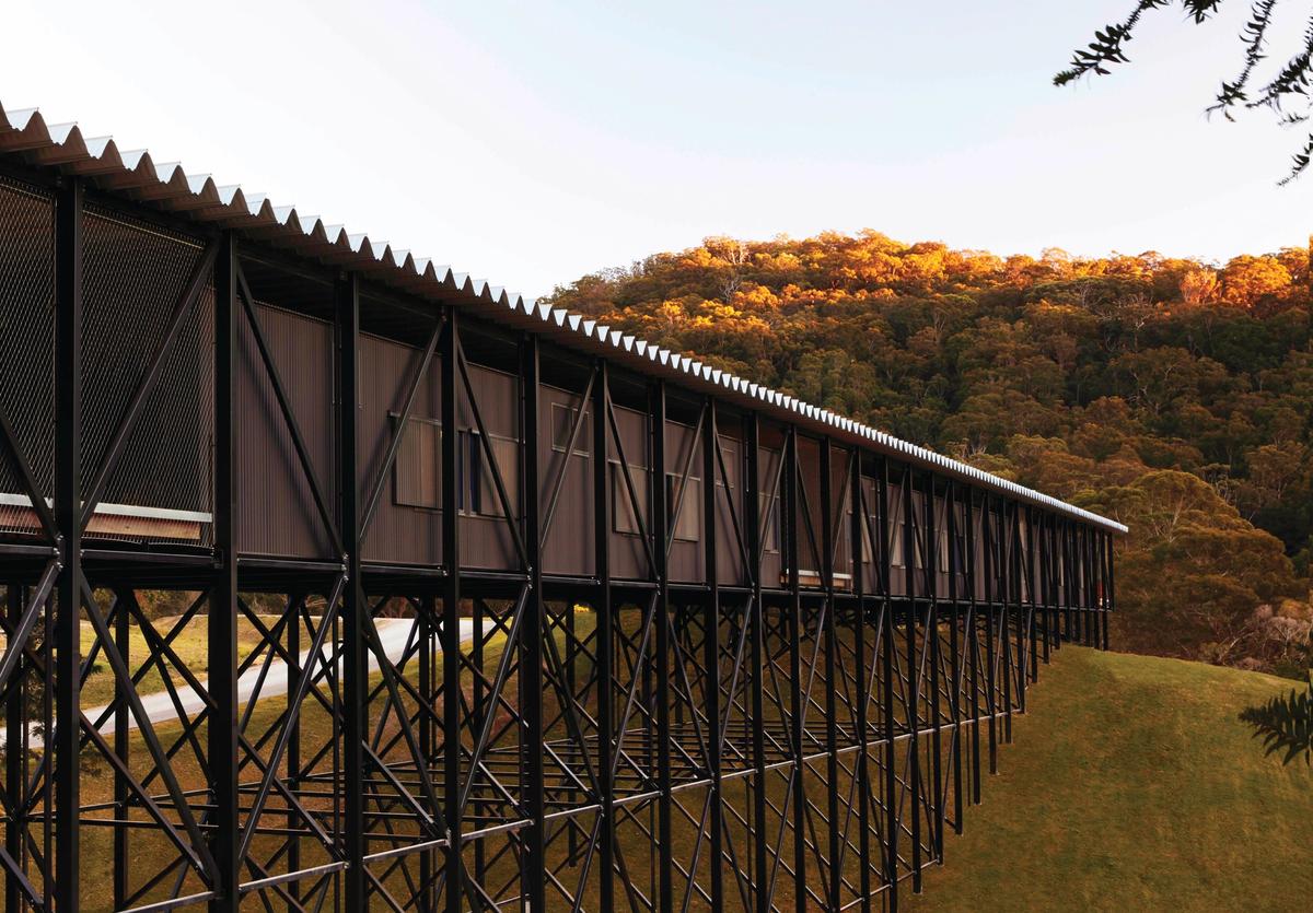 A dramatic 160m-long bridge designed by the architect Kerstin Thompson will house 32 bedrooms at Bundanon, featuring windows the size of Arthur Boyd's favoured canvases Photo: Zan Wimberley