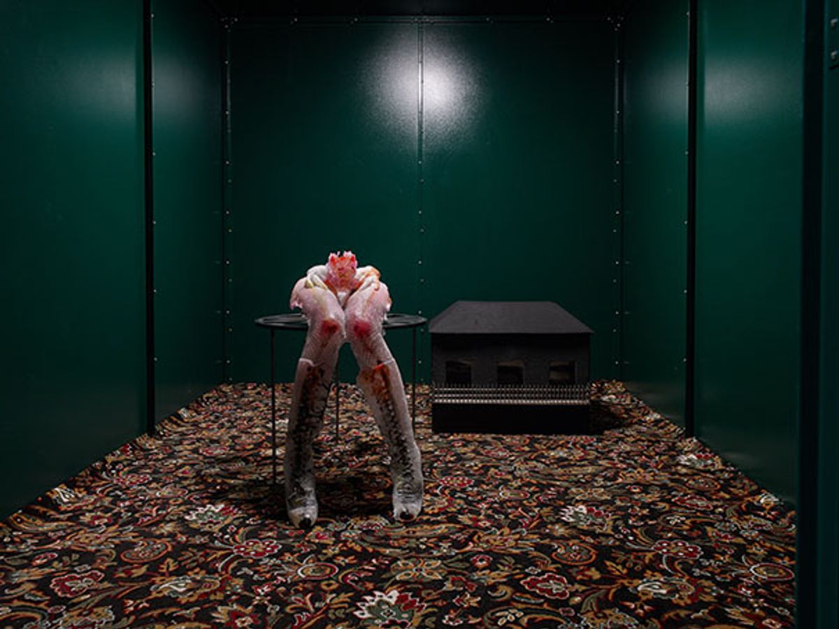 Boxing clever: Rebecca Ackroyd’s Tonguing the fence (2020) Courtesy of Lock Up International