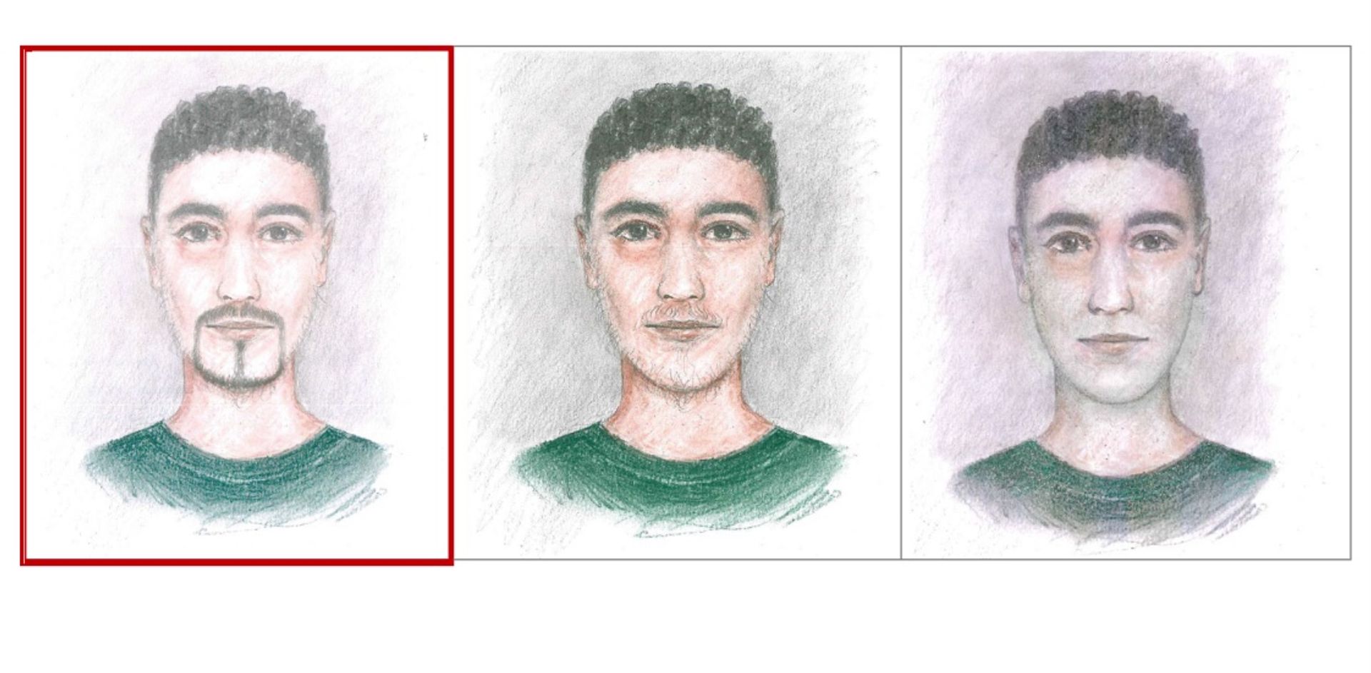 Police have released this portrait of a young man who purchased the getaway car, an Audi A6, from a private seller in Magdeburg. © Polizei Sachsen