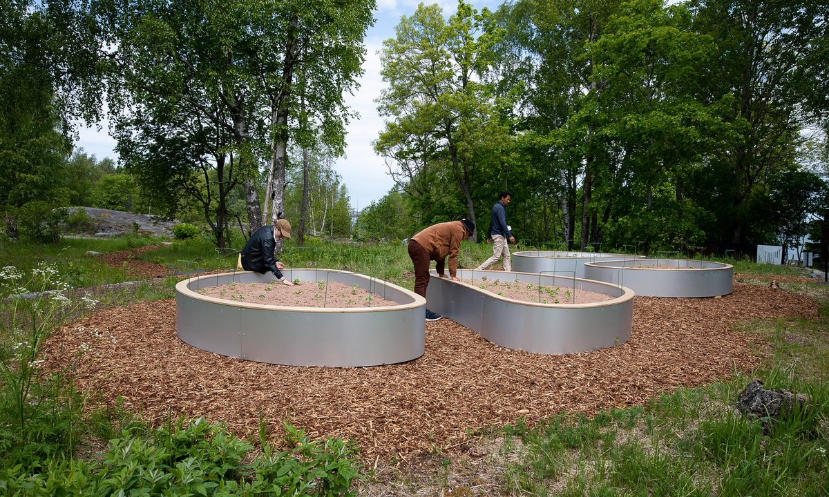 Can biennials actually be sustainable? Helsinki Biennial appears at points across the local weather disaster Can biennials actually be sustainable? Helsinki Biennial appears at points across the local weather disaster