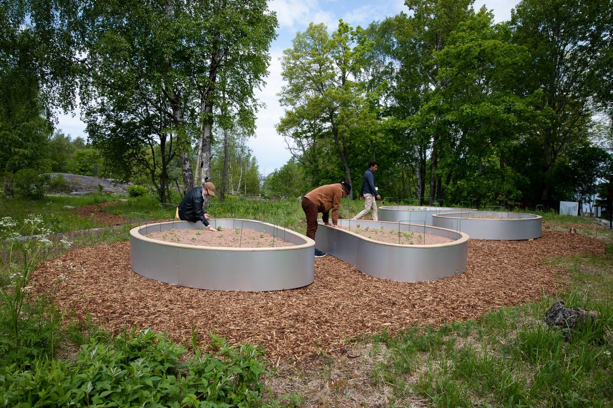 Installation by PHOsfate (Mohamed Sleiman Labat and Pekka Niskanen) on Vallisaari island in Helsinki Courtesy of HAM, Helsinki Biennial and Sonja Hyytiäinen