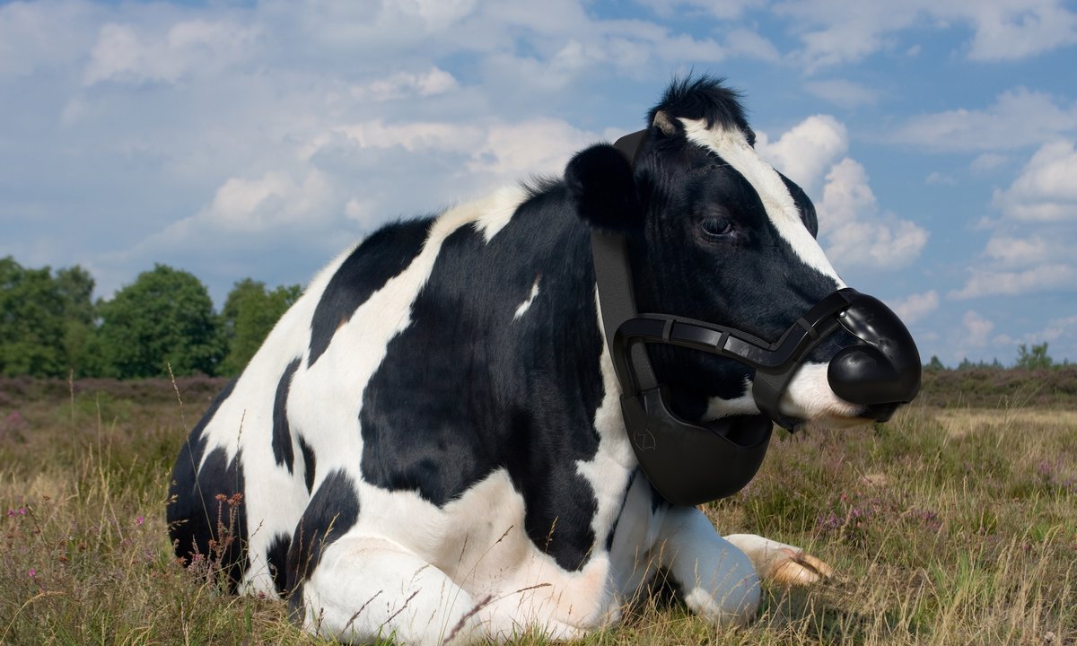 Top art schools in India, UAE, UK and US join initiative to support student-led climate solutions