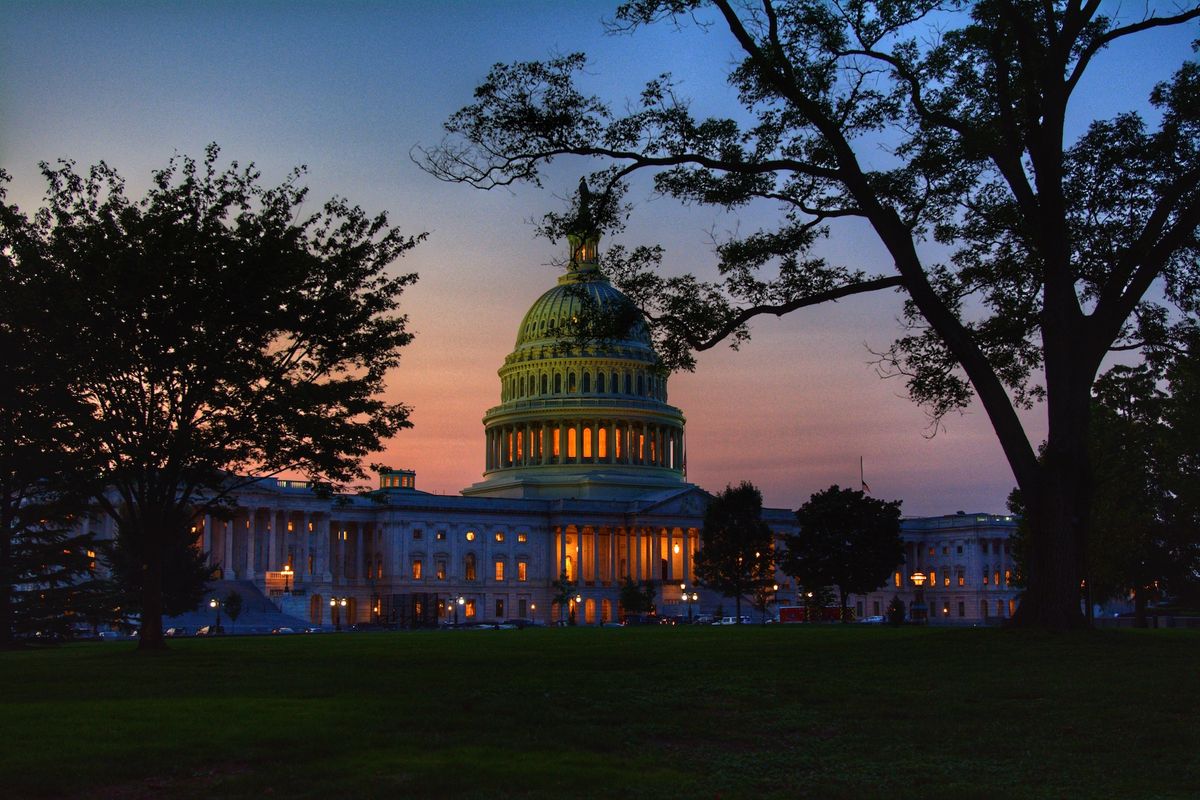 The US Capitol in Washington, DC Photo by MIKE STOLL on Unsplash