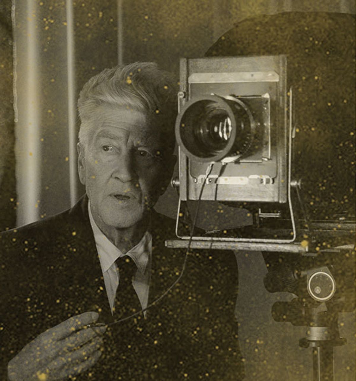 David Lynch 