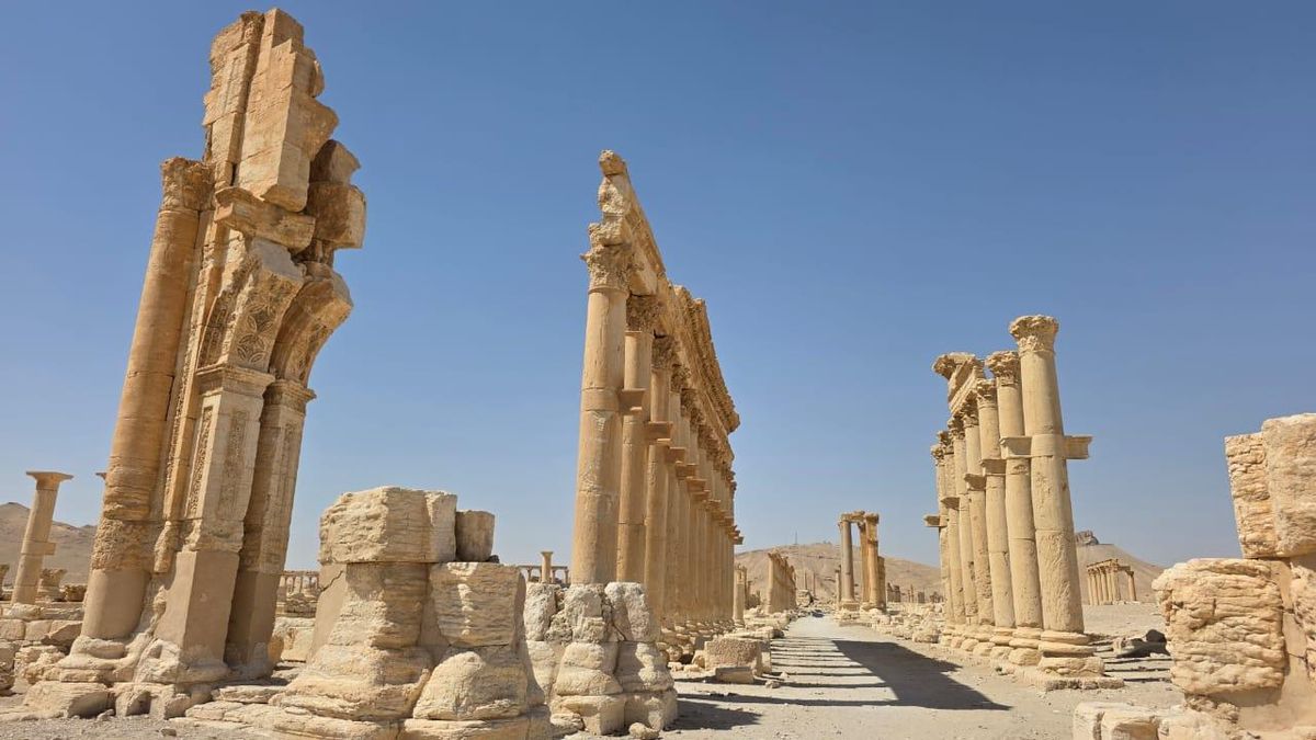 Palmyra Collonnade in Septemer 2024, Many of the site's key landmarks were destroyed by Isis in 2015
© Michel Chaloub