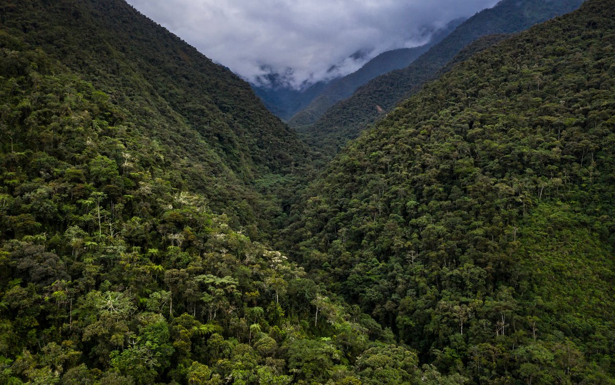 Chuyapi Urusayhua Courtesy of Diego Pérez and ACCA.