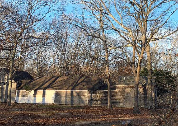 National Trust for Historic Preservation lists 11 endangered cultural sites