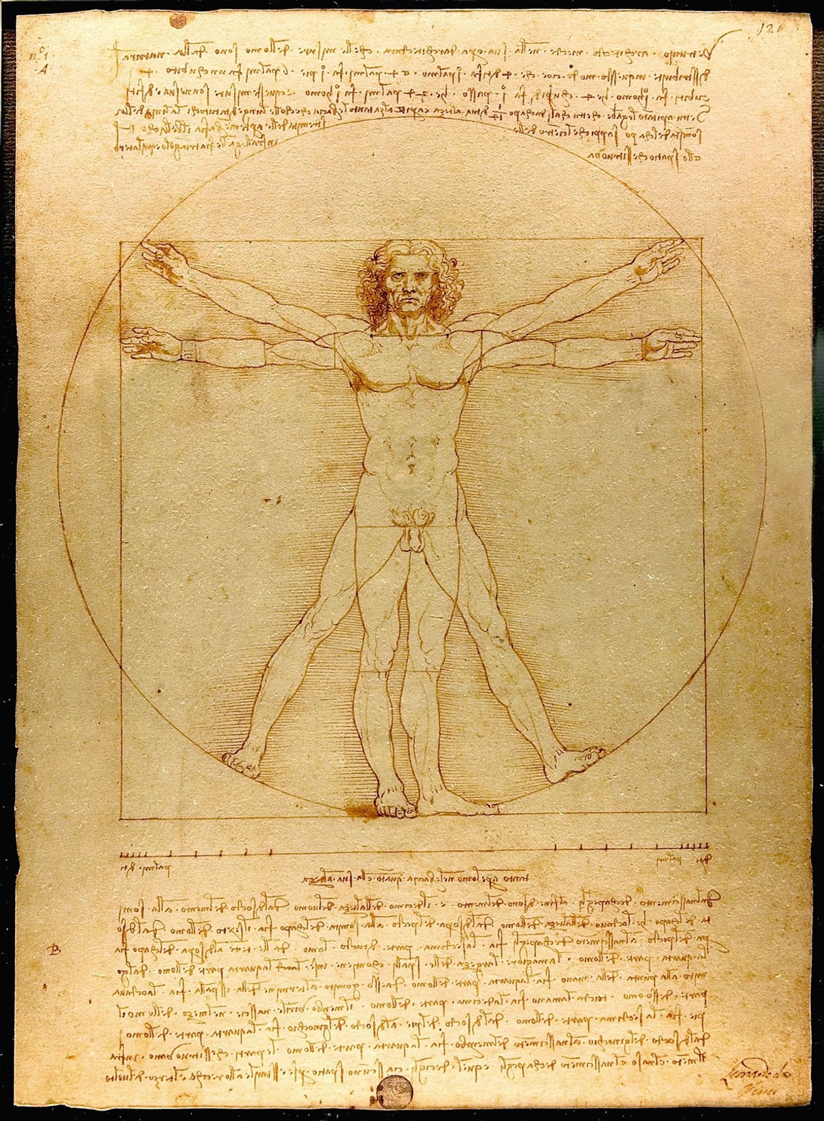 Venice has reserved its position on whether it will lend Leonardo's iconic Vitruvian Man (1490)
