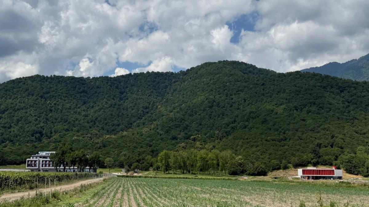 The dramatic new home of the Kvareli Foundation (right) sits in countryside around 150km east of the Tbilisi Courtesy Midamo