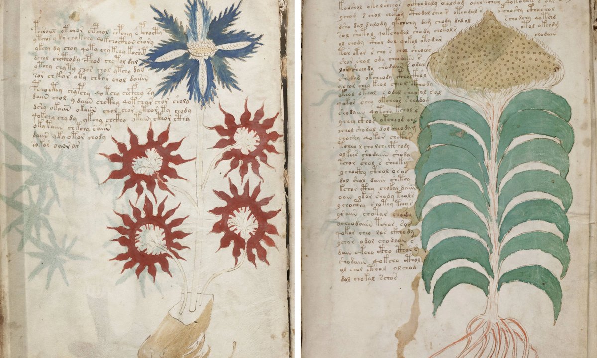Can a new cipher help to explain the mysterious Voynich Manuscript?