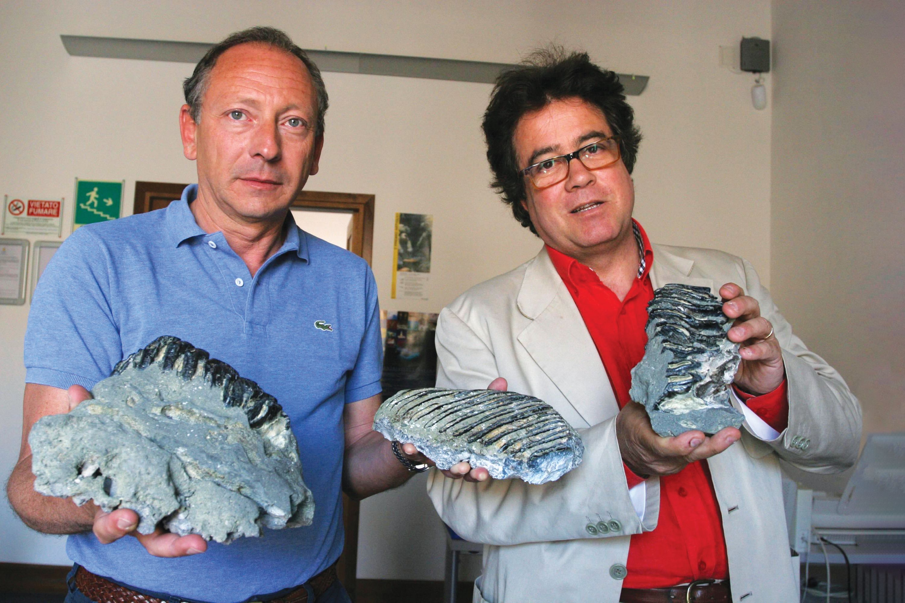 Sebastiano Tusa was among the victims of the recent Ethiopian Airlines crash © Independent Photo Agency Srl / Alamy Stock Photo