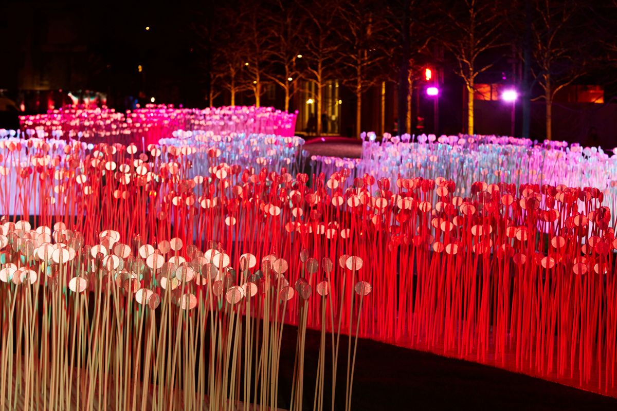 Entre Les Rangs by Rami Bebawi in Kings Cross for the Lumiere London festival Produced by Artichoke and commissioned by the Mayor of London; © MatthewAndrews
