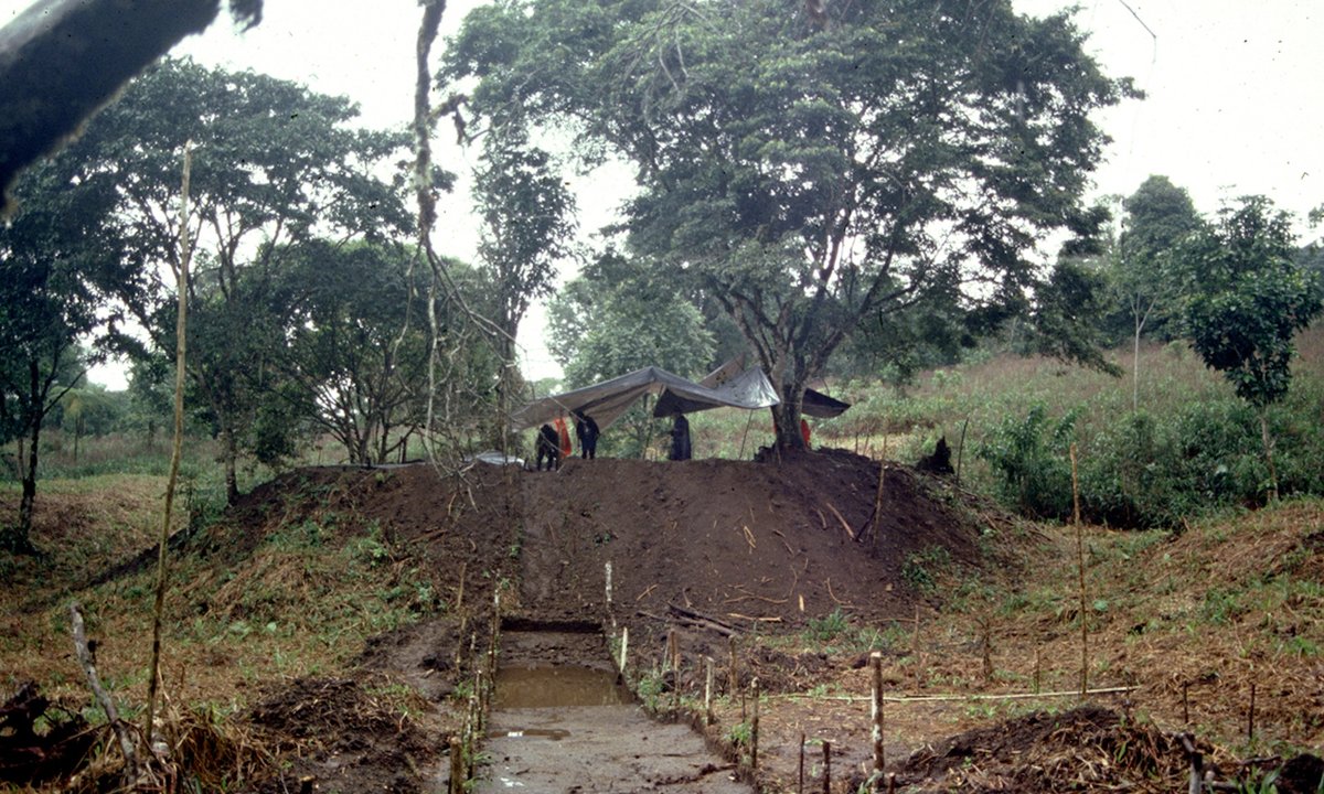 Why the traditional Amazonian cities lately found in Ecuador are so important Why the traditional Amazonian cities lately found in Ecuador are so important